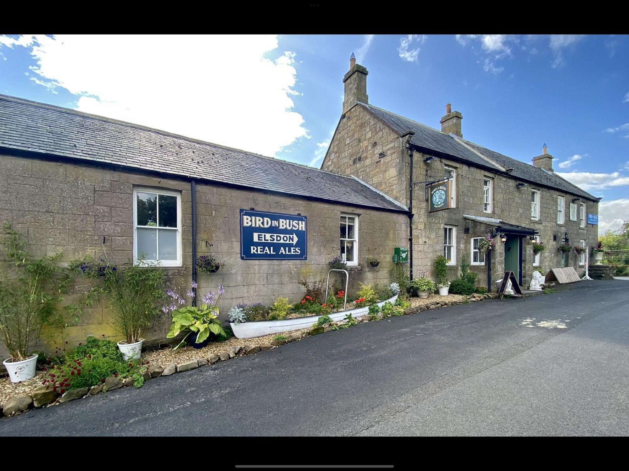 Inn Bird In Bush Elsdon